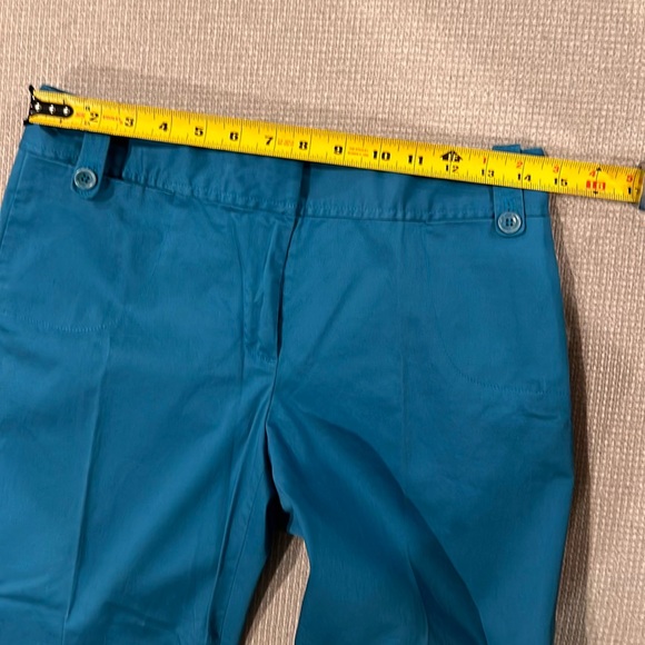 Ann Taylor Capris Pants - Picture 6 of 8